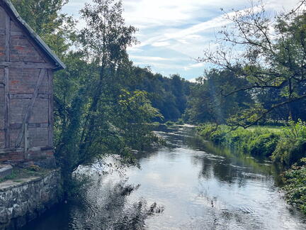 23-09-17 10-13-50 6983